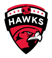 FC Hawks